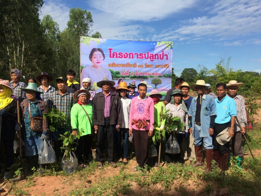 วันที่ 9 สิงหาคม 2560 อบต.เขื่อน ได้จัดโครงการปลูกป่เฉลิมพระเกรียติ 12 สิงหา มหาราชินี